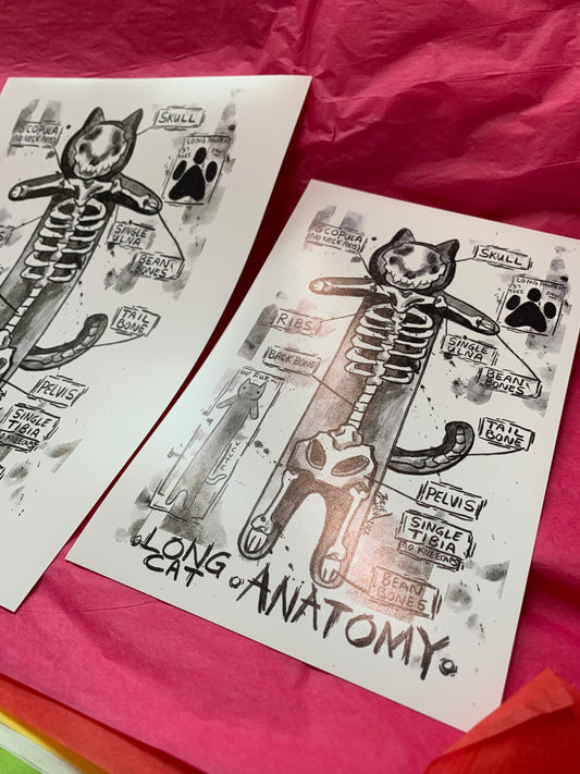 Long Cat Anatomy Print
